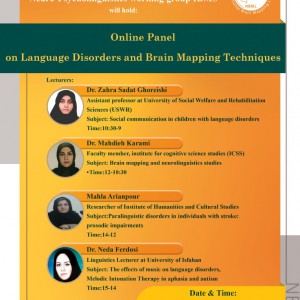 Online Panel on Language Disorders and Brain Mapping Techniques